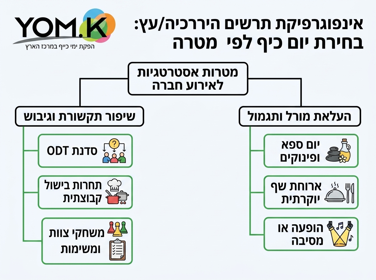 אינפוגרפיקה