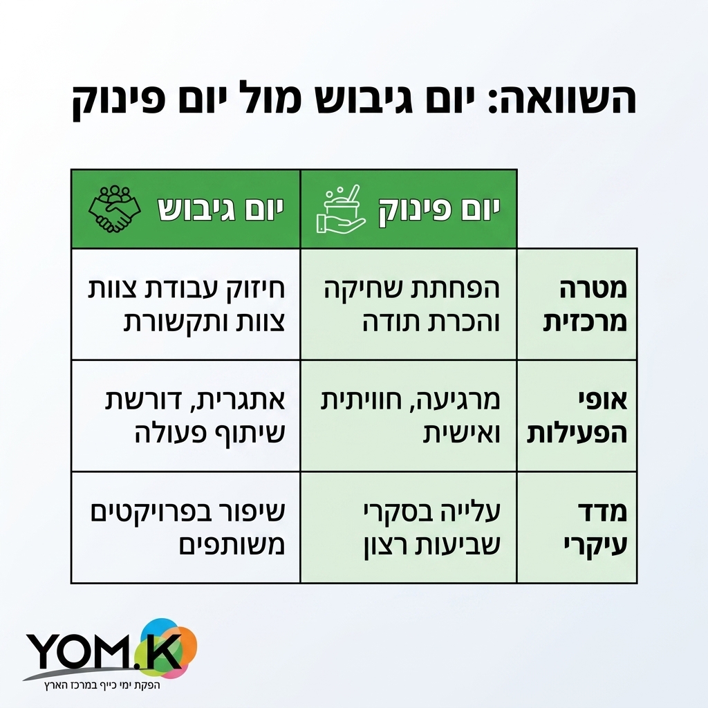 אינפוגרפיקה